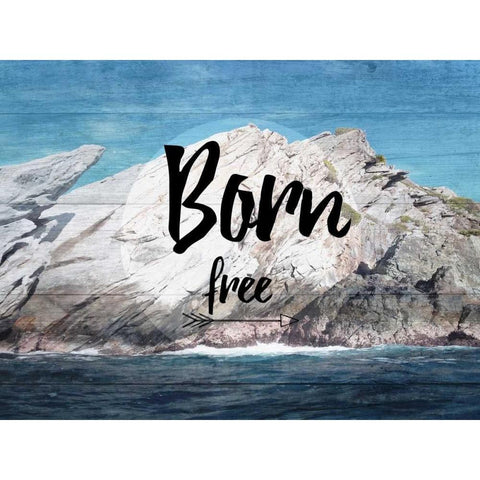 BoRn Free White Modern Wood Framed Art Print by Lewis, Sheldon