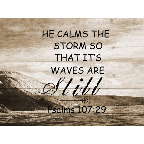 He Calms The Storm Black Modern Wood Framed Art Print with Double Matting by Lewis, Sheldon