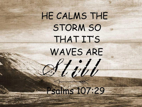 He Calms The Storm White Modern Wood Framed Art Print with Double Matting by Lewis, Sheldon