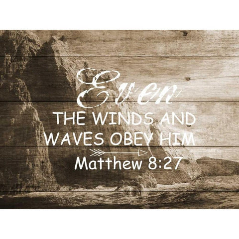 Even The Winds White Modern Wood Framed Art Print by Lewis, Sheldon