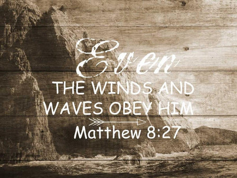 Even The Winds Black Ornate Wood Framed Art Print with Double Matting by Lewis, Sheldon