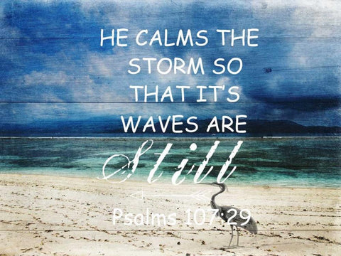 Its Waves Are Still White Modern Wood Framed Art Print with Double Matting by Lewis, Sheldon