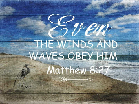 Power 2 Black Ornate Wood Framed Art Print with Double Matting by Lewis, Sheldon