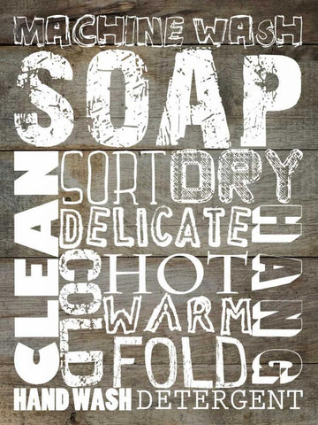 Laundry 1 Black Ornate Wood Framed Art Print with Double Matting by Lewis, Sheldon