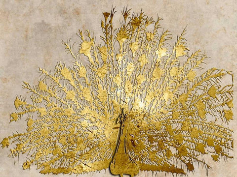 Ivory Coast Peacock Black Ornate Wood Framed Art Print with Double Matting by Lewis, Sheldon