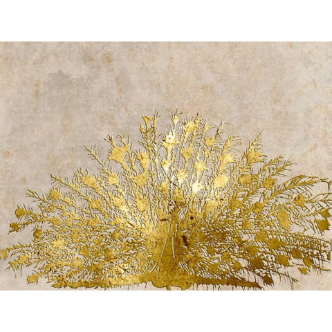 Ivory Coast Peacock Gold Ornate Wood Framed Art Print with Double Matting by Lewis, Sheldon