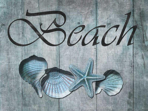 Beach Shells Black Ornate Wood Framed Art Print with Double Matting by Lewis, Sheldon