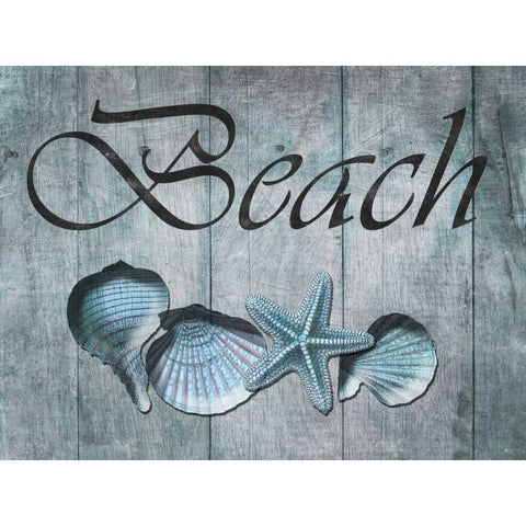 Beach Shells Black Modern Wood Framed Art Print by Lewis, Sheldon