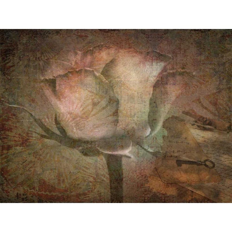 Rose Faith Black Modern Wood Framed Art Print with Double Matting by Lewis, Sheldon
