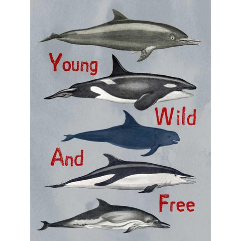 Young Wild And Free Black Modern Wood Framed Art Print by Lewis, Sheldon
