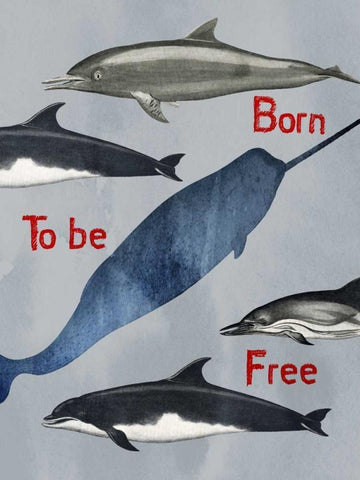 Born To Be Free Black Ornate Wood Framed Art Print with Double Matting by Lewis, Sheldon