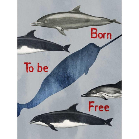 Born To Be Free Black Modern Wood Framed Art Print with Double Matting by Lewis, Sheldon