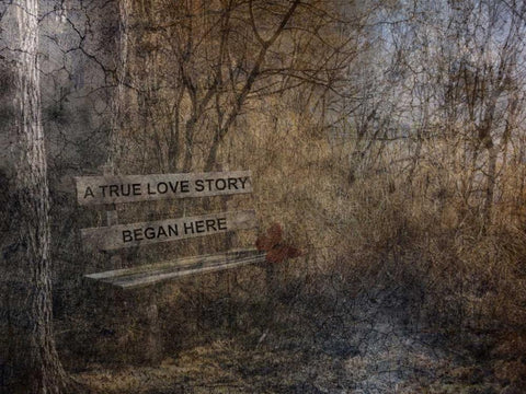 Our Secret Place Black Ornate Wood Framed Art Print with Double Matting by Lewis, Sheldon