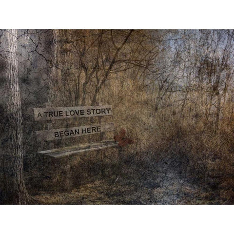 Our Secret Place Black Modern Wood Framed Art Print by Lewis, Sheldon