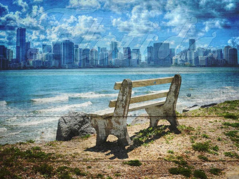 Florida Black Ornate Wood Framed Art Print with Double Matting by Lewis, Sheldon