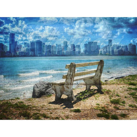 Florida Black Modern Wood Framed Art Print by Lewis, Sheldon