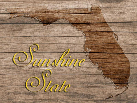 Sunshine State Black Ornate Wood Framed Art Print with Double Matting by Lewis, Sheldon