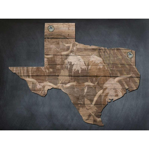 Texas Bred Black Modern Wood Framed Art Print with Double Matting by Lewis, Sheldon