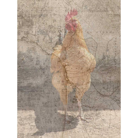 Traveling Rooster White Modern Wood Framed Art Print by Lewis, Sheldon