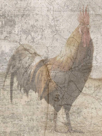 Traveling Rooster 2 Black Ornate Wood Framed Art Print with Double Matting by Lewis, Sheldon