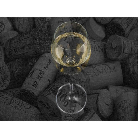 Elegant Transparent 2 Black Modern Wood Framed Art Print with Double Matting by Lewis, Sheldon