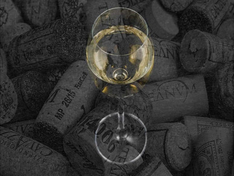 Elegant Transparent 2 Black Ornate Wood Framed Art Print with Double Matting by Lewis, Sheldon