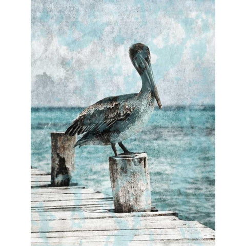 Coastal Pride Black Modern Wood Framed Art Print with Double Matting by Lewis, Sheldon