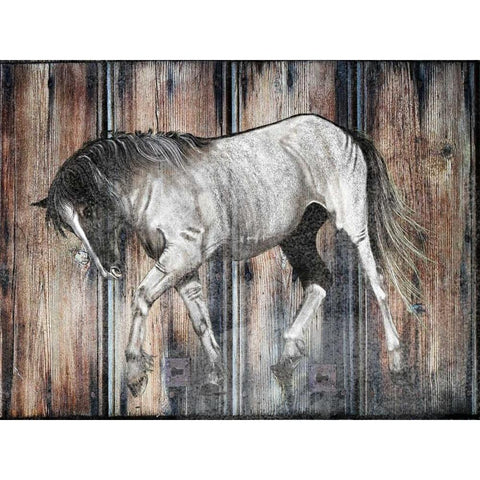 Farm Horse Black Modern Wood Framed Art Print with Double Matting by Lewis, Sheldon