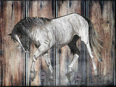 Farm Horse White Modern Wood Framed Art Print with Double Matting by Lewis, Sheldon