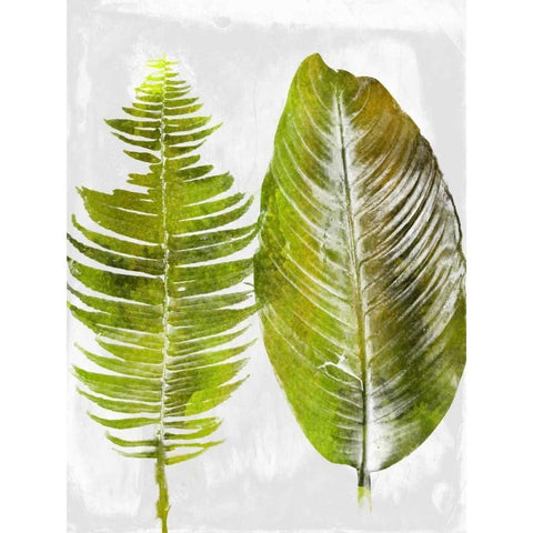 Tropic Spring 1 White Modern Wood Framed Art Print by Lewis, Sheldon