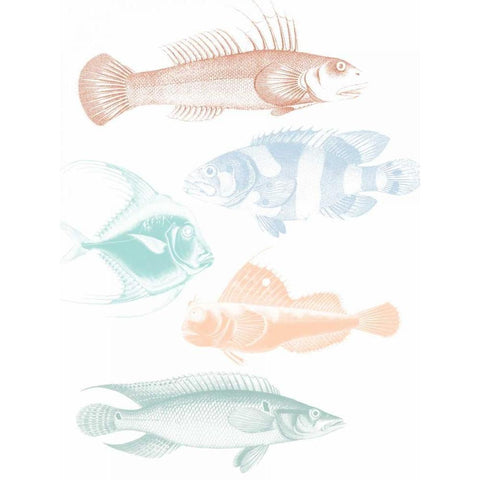 Deep Sea Adventure White Modern Wood Framed Art Print by Lewis, Sheldon