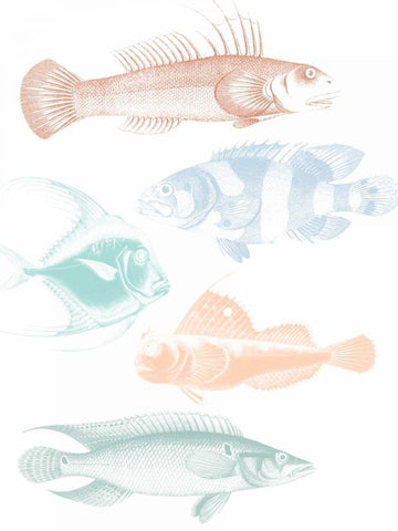 Deep Sea Adventure Black Ornate Wood Framed Art Print with Double Matting by Lewis, Sheldon