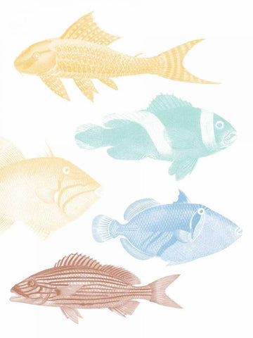 Deep Sea Adventure 2 Black Ornate Wood Framed Art Print with Double Matting by Lewis, Sheldon