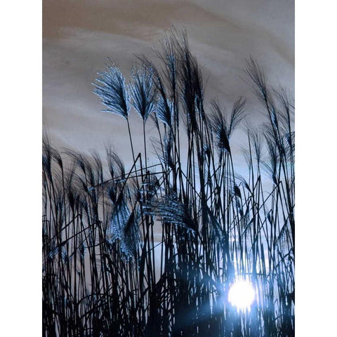 Blue Sunset 1 Black Modern Wood Framed Art Print by Lewis, Sheldon