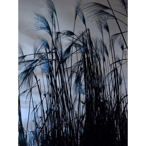 Blue Sunset 2 Black Modern Wood Framed Art Print with Double Matting by Lewis, Sheldon