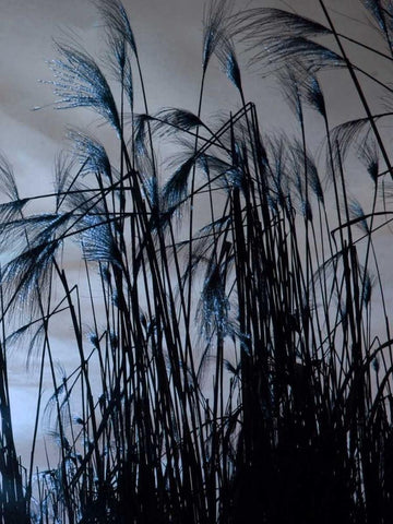 Blue Sunset 2 Black Ornate Wood Framed Art Print with Double Matting by Lewis, Sheldon