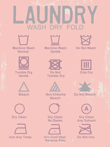 Laundry Language Black Ornate Wood Framed Art Print with Double Matting by Lewis, Sheldon