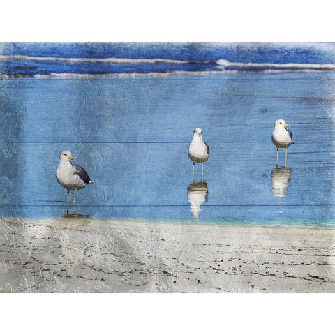 Three Is Company Black Modern Wood Framed Art Print by Lewis, Sheldon