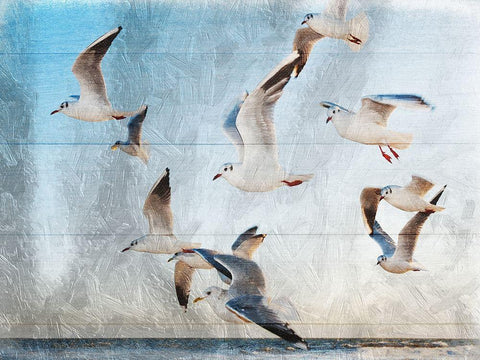 Fly With Friends White Modern Wood Framed Art Print with Double Matting by Lewis, Sheldon