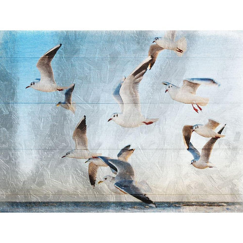 Fly With Friends Black Modern Wood Framed Art Print by Lewis, Sheldon