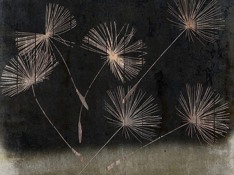 Drifting In the wind 2 White Modern Wood Framed Art Print with Double Matting by Lewis, Sheldon