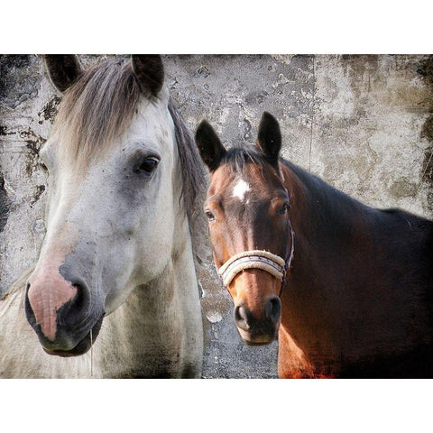 Togetherness White Modern Wood Framed Art Print by Lewis, Sheldon