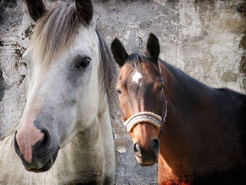 Togetherness Black Ornate Wood Framed Art Print with Double Matting by Lewis, Sheldon