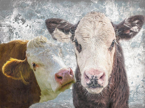 Two Moo Black Ornate Wood Framed Art Print with Double Matting by Lewis, Sheldon