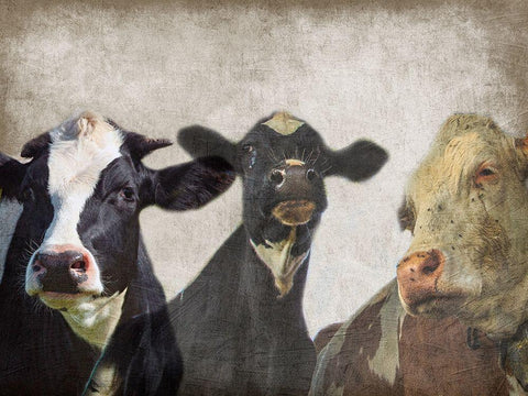 Selfie Family Black Ornate Wood Framed Art Print with Double Matting by Lewis, Sheldon