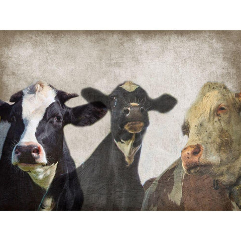 Selfie Family Black Modern Wood Framed Art Print by Lewis, Sheldon