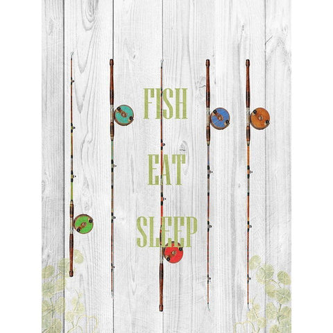 Fish Eat Sleep Black Modern Wood Framed Art Print with Double Matting by Lewis, Sheldon