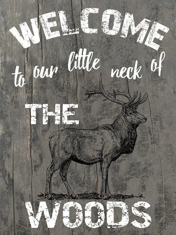 My Neck Of The Woods White Modern Wood Framed Art Print with Double Matting by Lewis, Sheldon