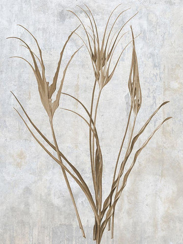 Earth Balance 1 Black Ornate Wood Framed Art Print with Double Matting by Lewis, Sheldon