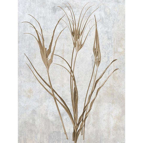 Earth Balance 1 Black Modern Wood Framed Art Print by Lewis, Sheldon